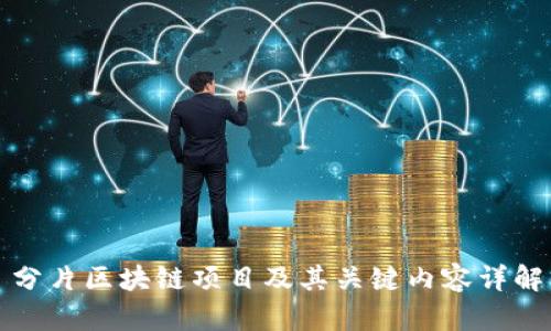 分片区块链项目及其关键内容详解