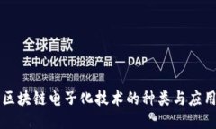 区块链电子化技术的种类