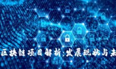 第二批区块链项目解析：