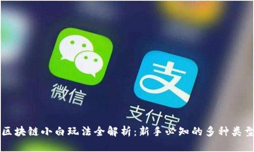 区块链小白玩法全解析：新手必知的多种类型