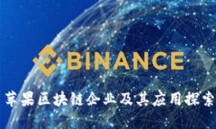 苹果区块链企业及其应用