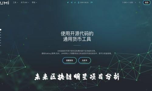 未来区块链明星项目分析