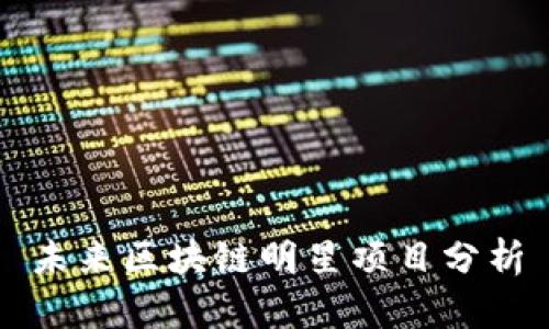 未来区块链明星项目分析