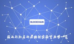 国内外知名的区块链实验