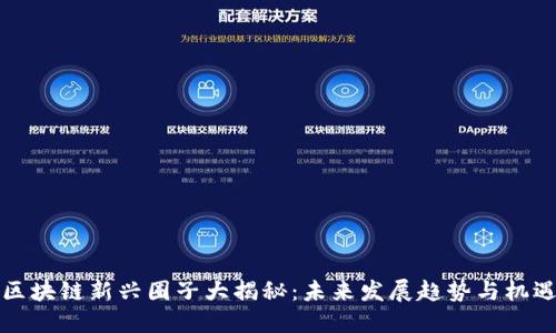 区块链新兴圈子大揭秘：未来发展趋势与机遇
