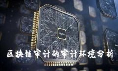 区块链审计的审计环境分
