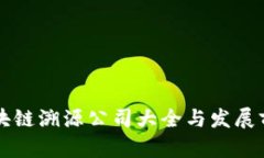 成都区块链溯源公司大全