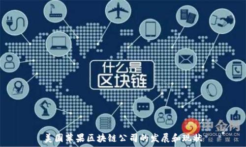   
美国苹果区块链公司的发展和现状