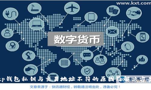 tp钱包私钥与交易地址不符的原因及解决方案