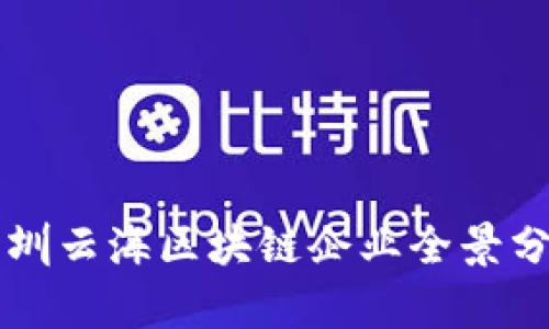 深圳云海区块链企业全景分析
