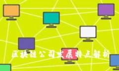 区块链公司发展特点解析