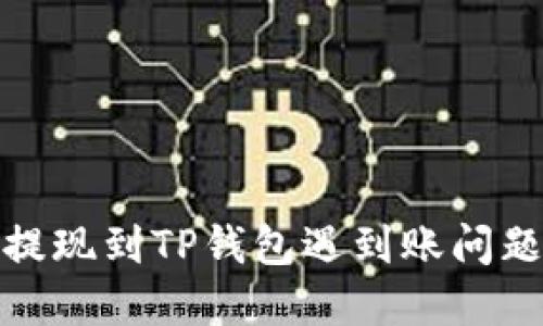 抹茶交易所提现到TP钱包遇到账问题的解决方案